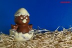 Pulcino Pulcino