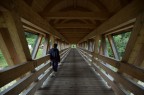 Il Ponte Il Ponte