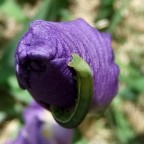 In prospettiva In prospettiva