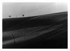 Morbide colline