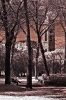 primavera al parco