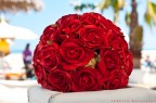 rosse rosse