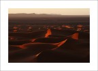 desert dream desert dream
