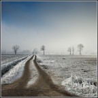 Magia Invernale Magia Invernale