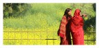 India01 India01