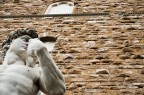 Firenze Firenze