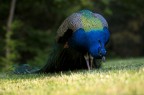 Dove sarà finita? Dove sarà finita?