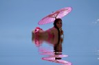 NYMPHAEA