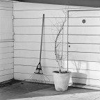 contest "righe" contest "righe"