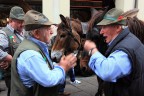 Alpini, usi e costumi