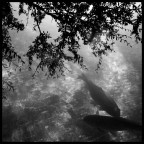 Terra&acqua Terra&acqua