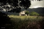 casale casale
