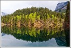 Riflessi Riflessi