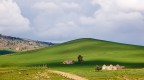 Hill Hill