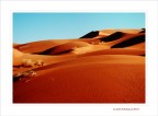 Erg Chebbi. Il canto dei colori... Erg Chebbi. Il canto dei colori...