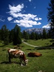 Val Gardena