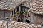 Assisi sui tetti Assisi sui tetti