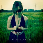 heart of wheat... heart of wheat...