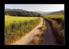 Su e gi per le colline