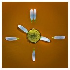 Summer time !! Summer time !!