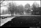 Snowing Snowing