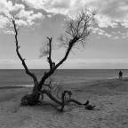 nonostante tutto il tempo scorre nonostante tutto il tempo scorre