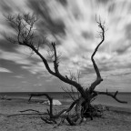 nonostante tutto il tempo scorre nonostante tutto il tempo scorre