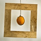 Ritratto d'Agrume Ritratto d'Agrume