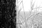Winter Winter