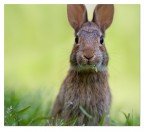 Ehilà, mi vedi? Ehilà, mi vedi?