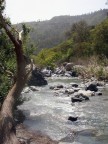 Fiume Alcantara