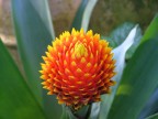 Fujifilm S5000, F 3,2 - 1/90 iso 200