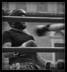 Pugno Schivato Pugno Schivato