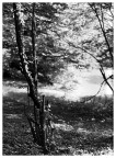 Natura 2