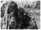 Solo tra le rocce