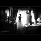 The Bride... The Bride...