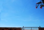 La scia La scia