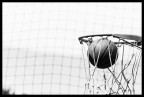 Nothing but net Nothing but net