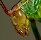 SGUARDI COLORATI :) SGUARDI COLORATI :)