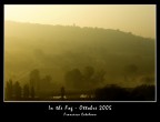 In the fog - Torrette di Ancona In the fog - Torrette di Ancona
