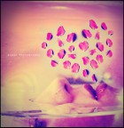 More than words More than words