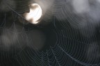 Eclissi