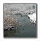 made in heaven.. made in heaven..