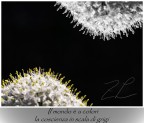 i colori dell'anima i colori dell'anima