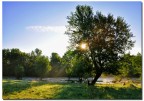 Primi raggi di sole. Primi raggi di sole.