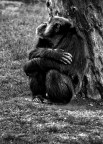non mi faccio fotografare...... non mi faccio fotografare......