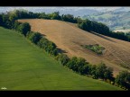 SCENDE LA PIOGGIA,DOVE VA.. SCENDE LA PIOGGIA,DOVE VA..