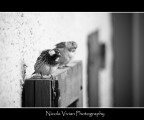 Curiosita'..... Curiosita'.....