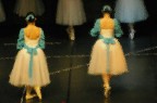 DANZA DANZA