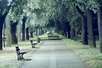 Estate al verde